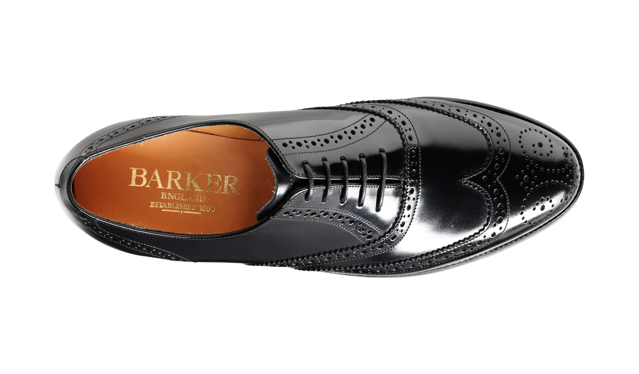 Albert - Black Hi-Shine