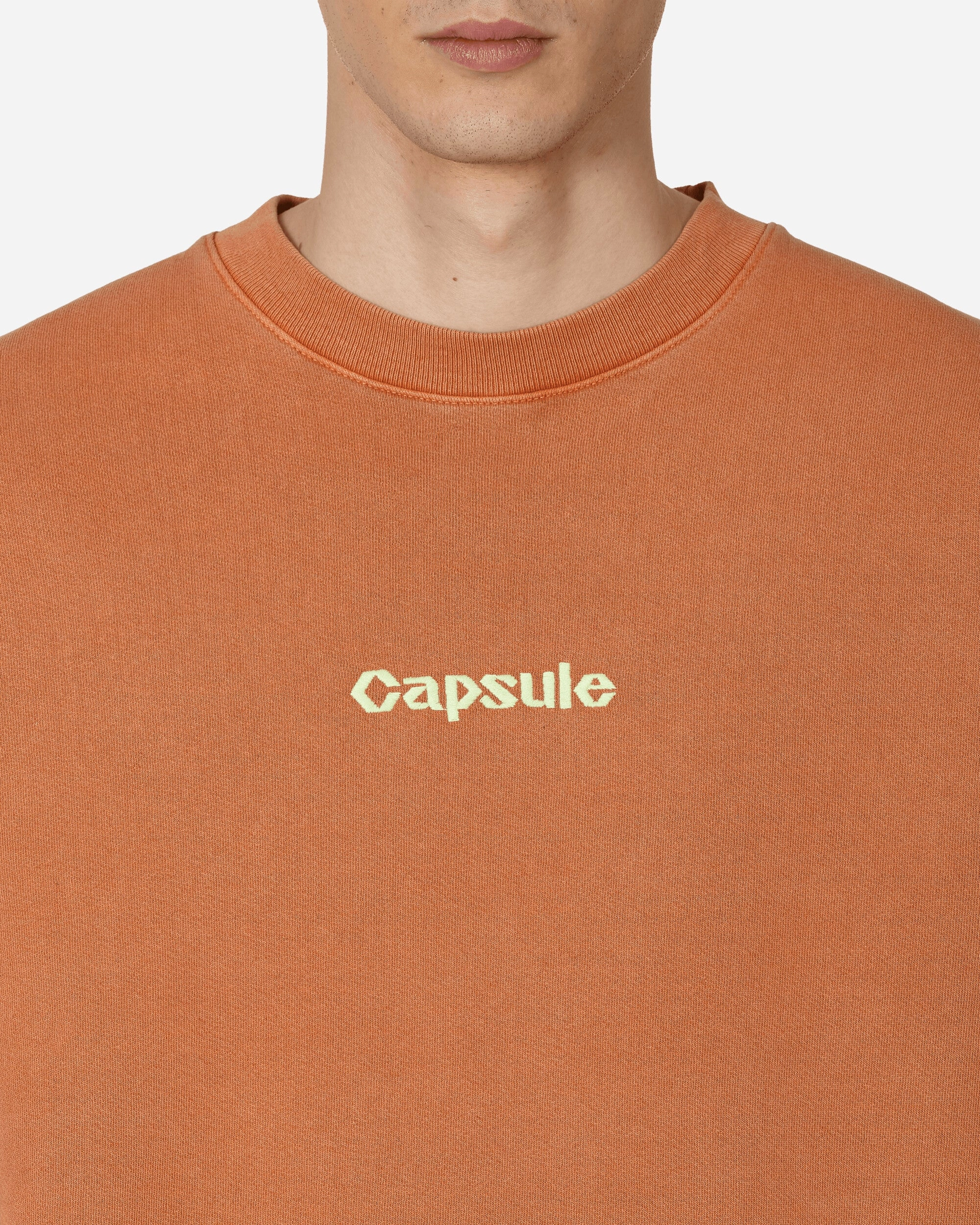 Classic Logo Crewneck Sweatshirt Rust