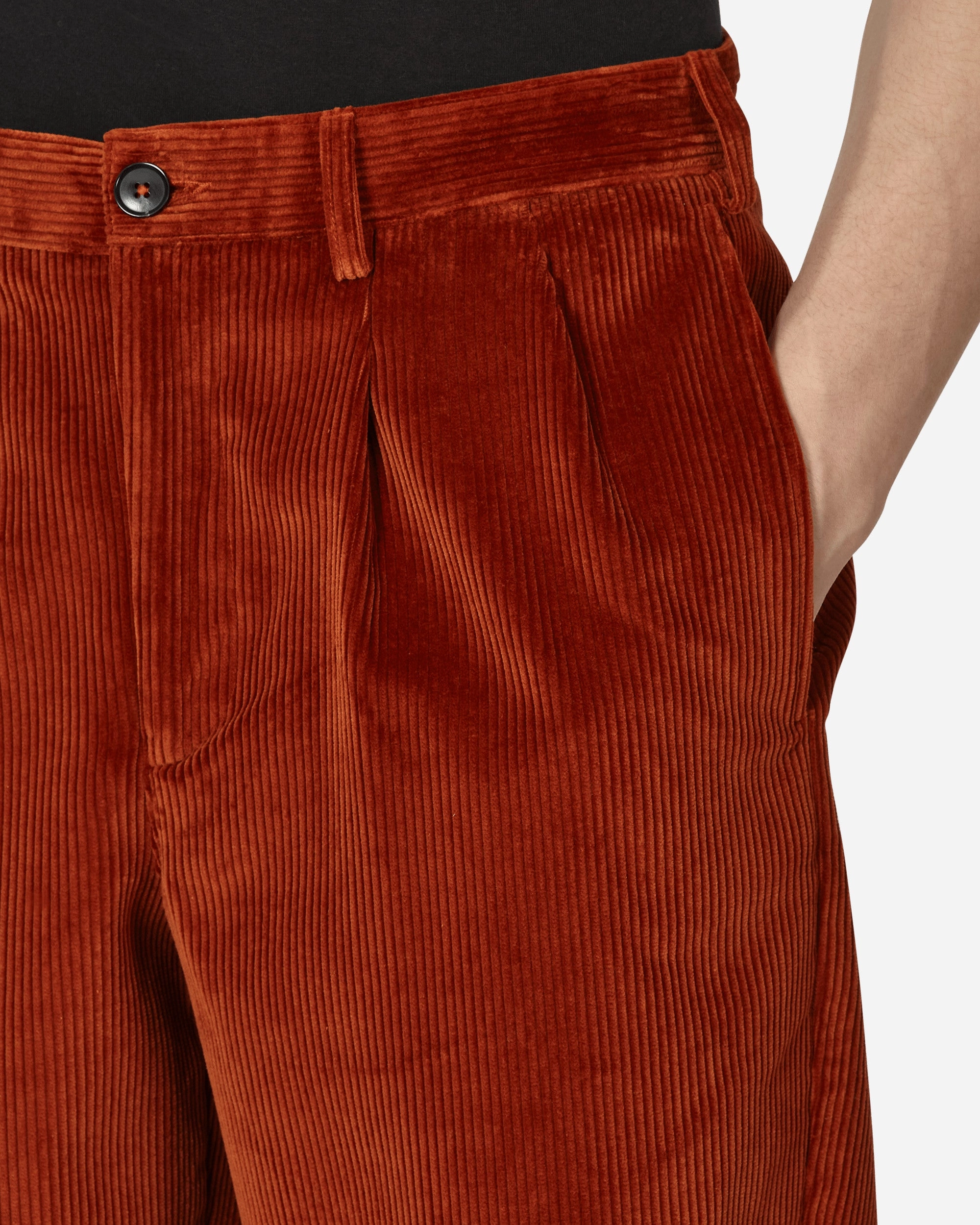 Double-Pleat Corduroy Pants Brown