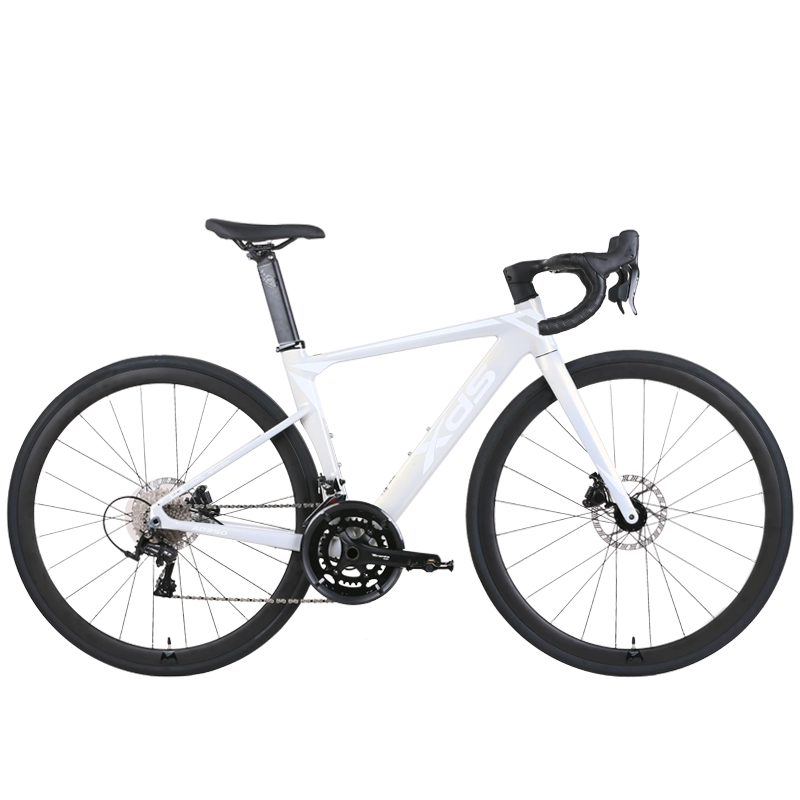 XDS AD350  20sp //  Road Bike